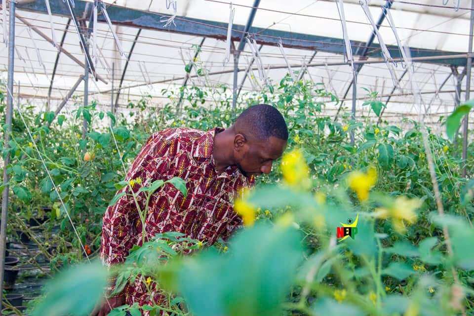 NEIP CEO and management pay a working visit to the greenhouse project site in Dawhenya.